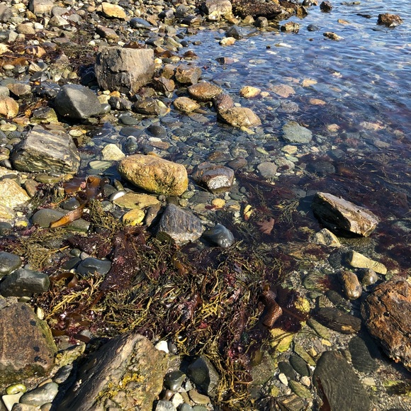 Meet your Posher, Stephanie - Picture 3 of 7